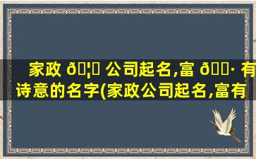 家政 🦁 公司起名,富 🌷 有诗意的名字(家政公司起名,富有诗意的名字有哪些)